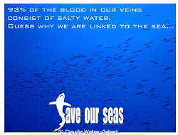 93% of our blood consists of saltwater by Claudia Weber-Gebert 